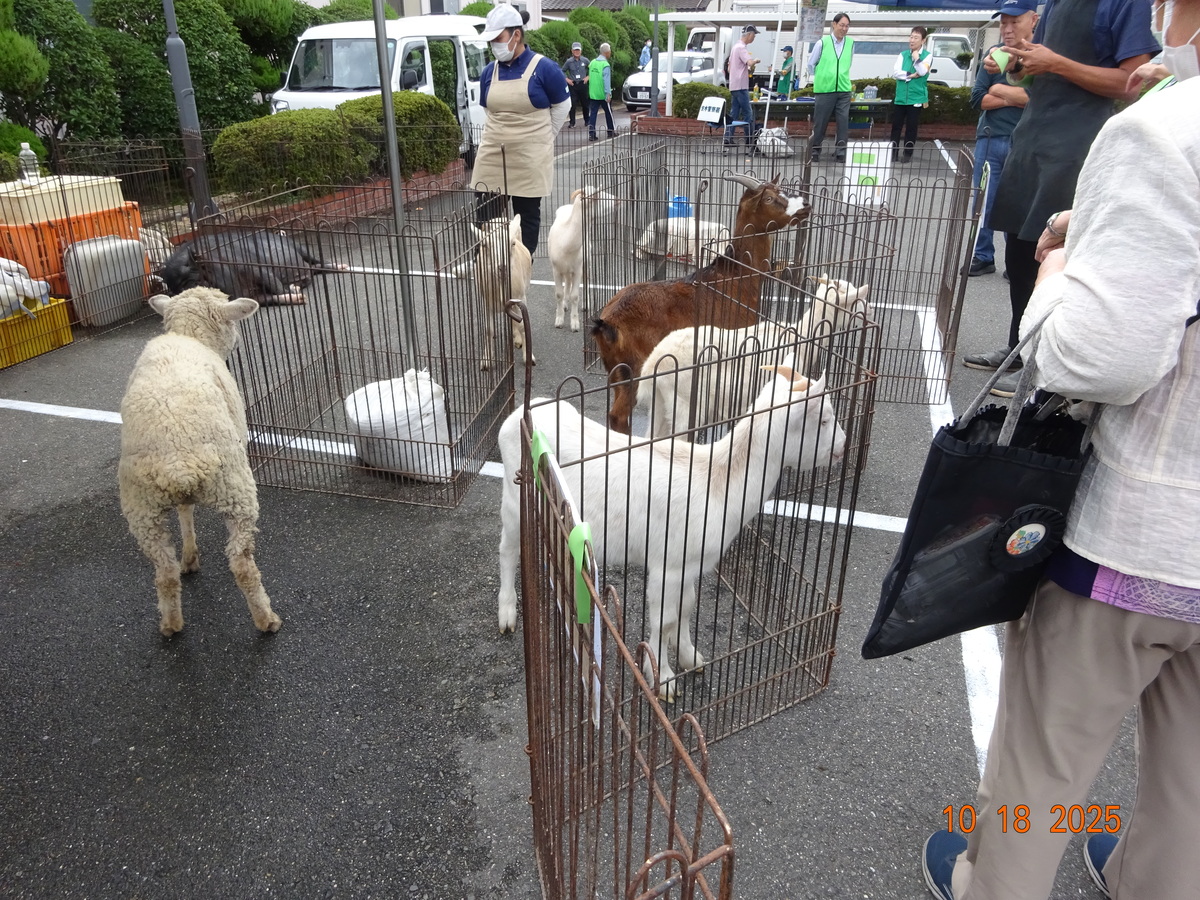 高齢者活動支援部